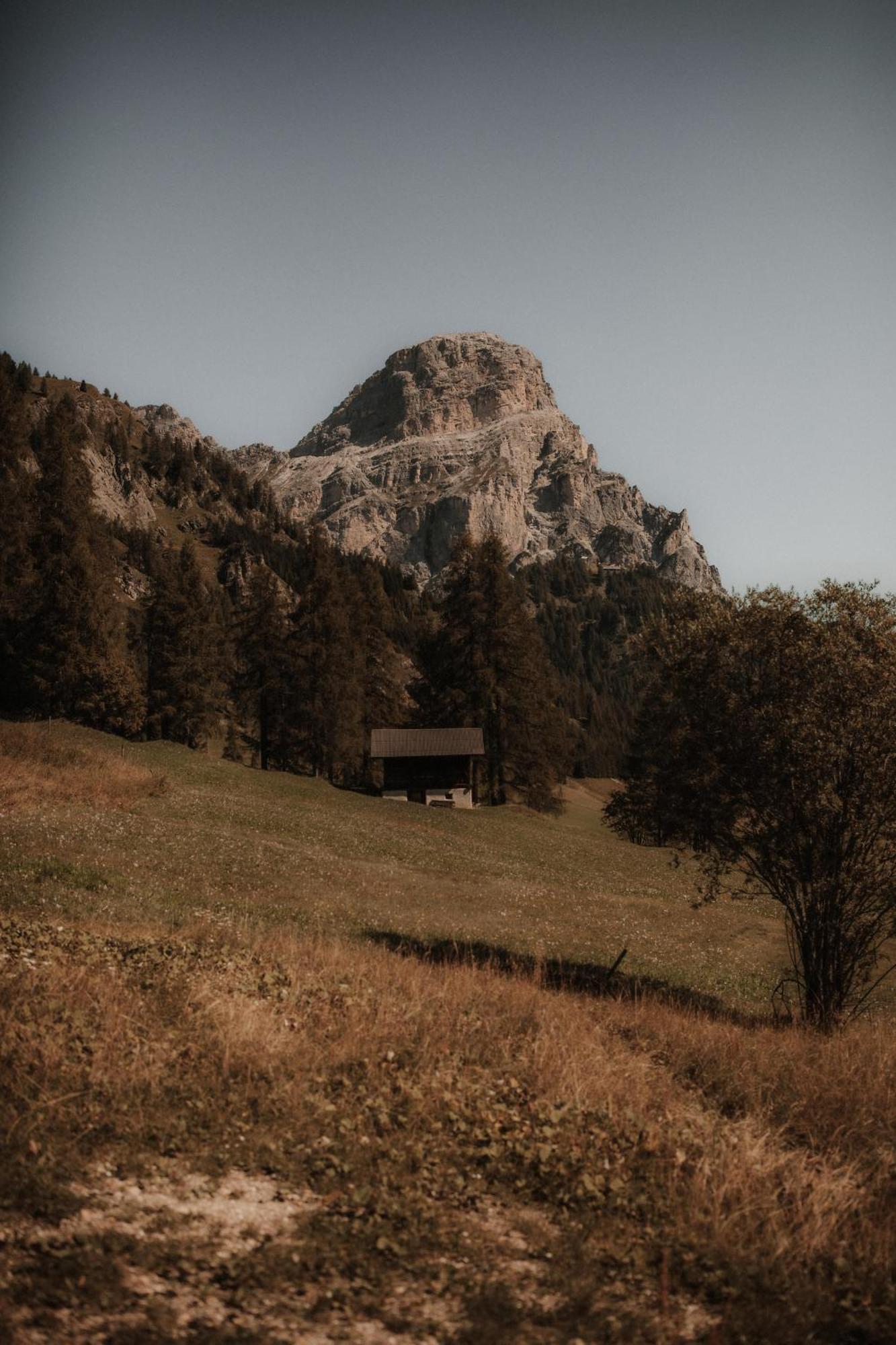 Chalet Roenn Colfosco Esterno foto